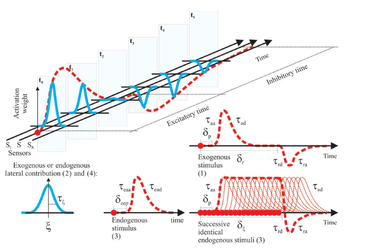 Stimuli enhancement/decaying contribution over time. Typical curves for endogenous and exogenous lateral contribution; exogenous stimulus (with IOR); endogenous stimulus (without sustained attention); and successive endogenous stimulus (with sustained attention) and further impairment. Extracted from Colombini (2016)